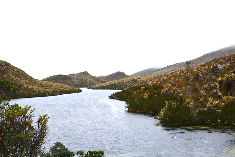 DSC_0099-copy.png